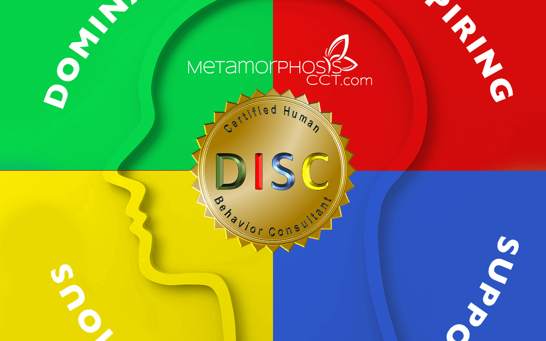 Metamorphosis CCT Disc Logo With Different Colors and Four Quadrants Depicting the Different Personality Styles for DISC
